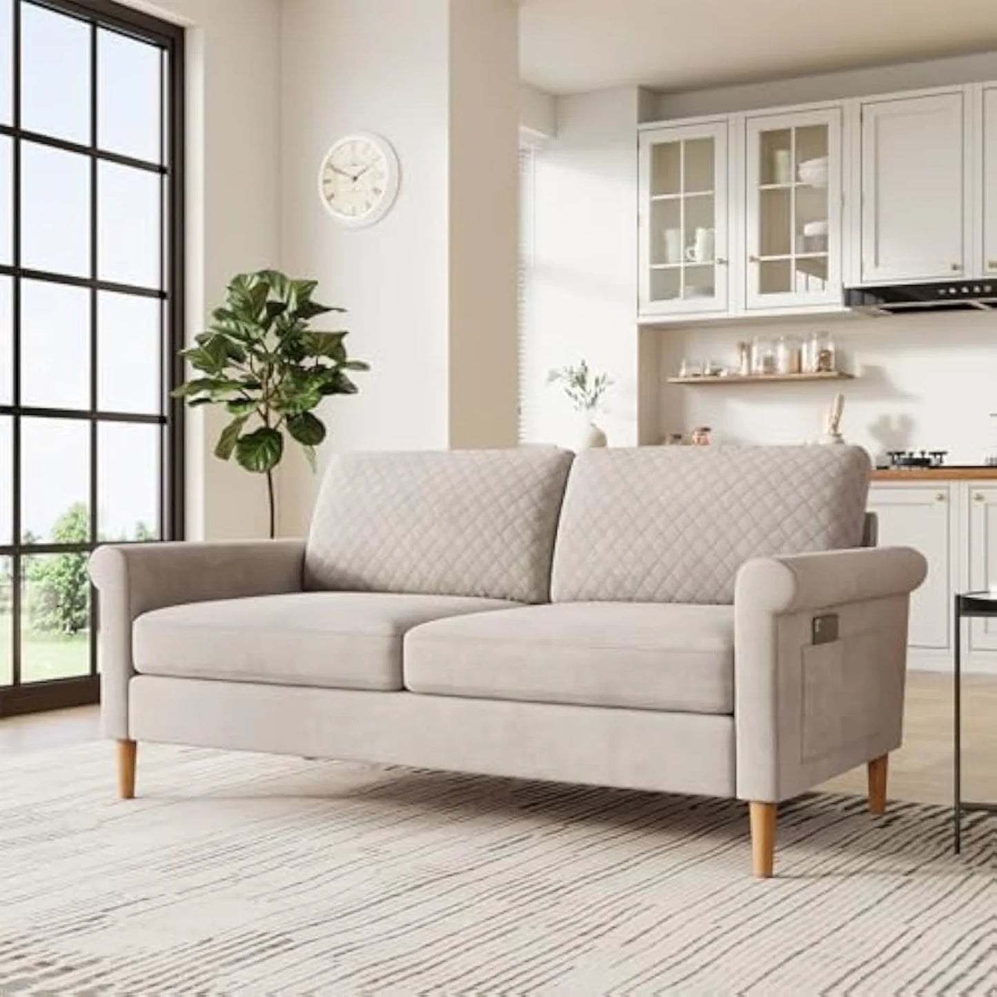 Modern Decor Loveseat Sofa Couches for Living Room